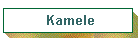Kamele